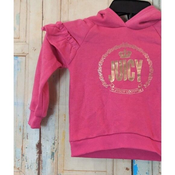 Juicy By Juicy Couture Girls Size 2T Pink Assorted Long Sleeve Pullover Hoodie - Picture 3 of 10